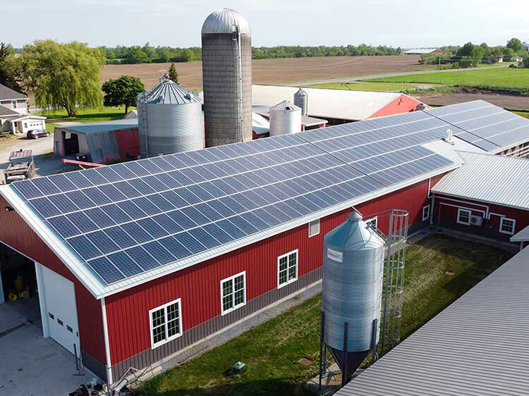 Murrock-Farms_Solar-Energy-System-2