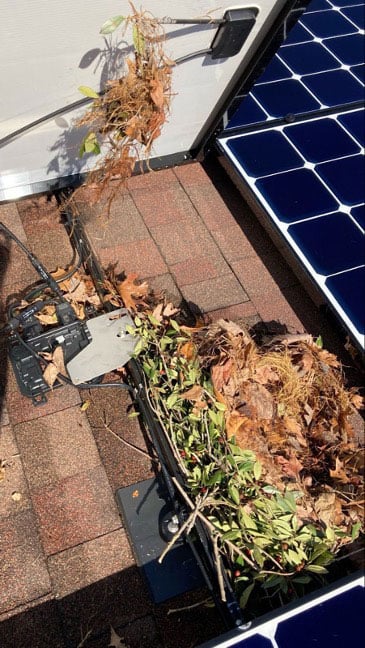 squirrel-nest-under-solar-panels