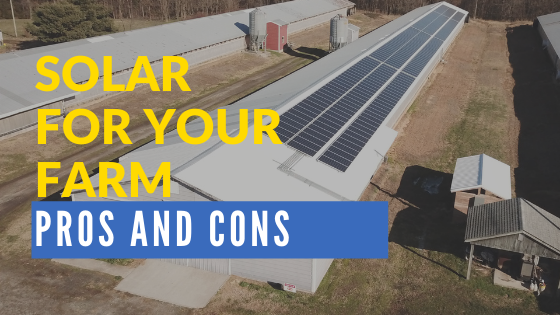 Pros and Cons of Solar Energy for Farmers